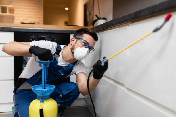 Best Emergency Pest Control  in Badin, NC