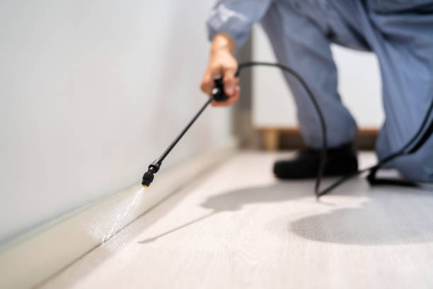 Best Residential Pest Control  in Badin, NC