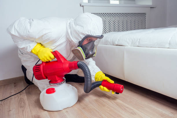 Best Local Pest Control Services  in Badin, NC