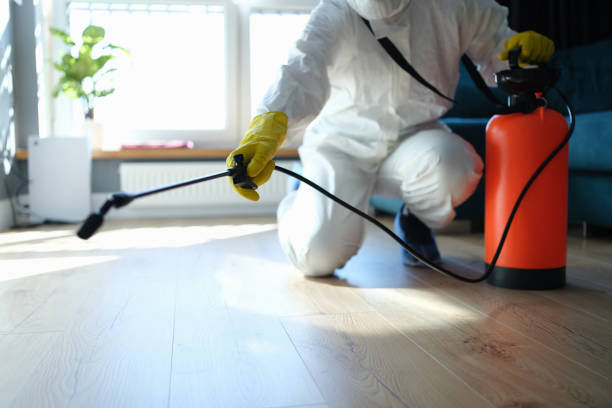 Best Termite Control Services  in Badin, NC