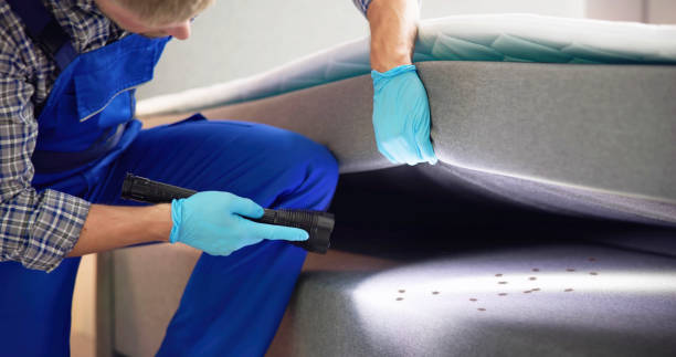 Trusted Badin, NC Pest Control Experts