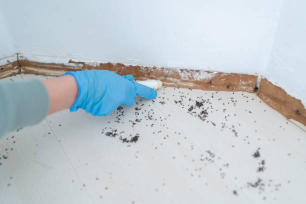 Best Emergency Pest Control  in Badin, NC