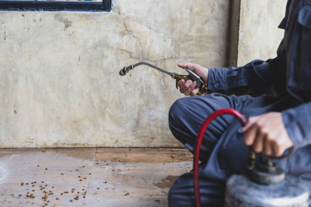 Pest Control for Restaurants in Badin, NC