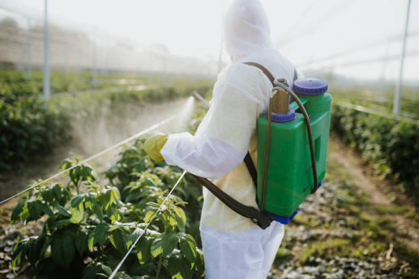 Best Pest Removal Services  in Badin, NC